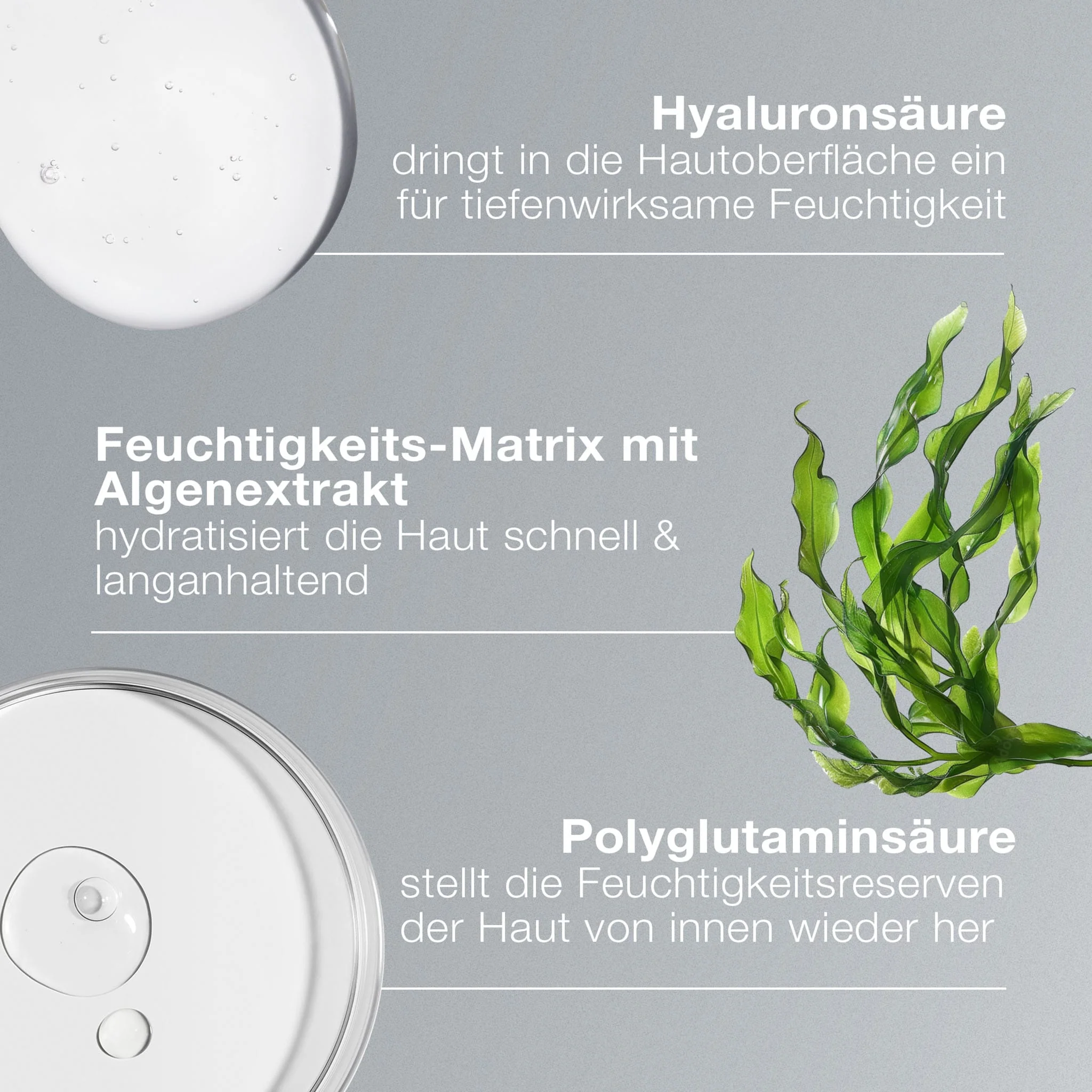 Circular Hydration Serum - Image 5